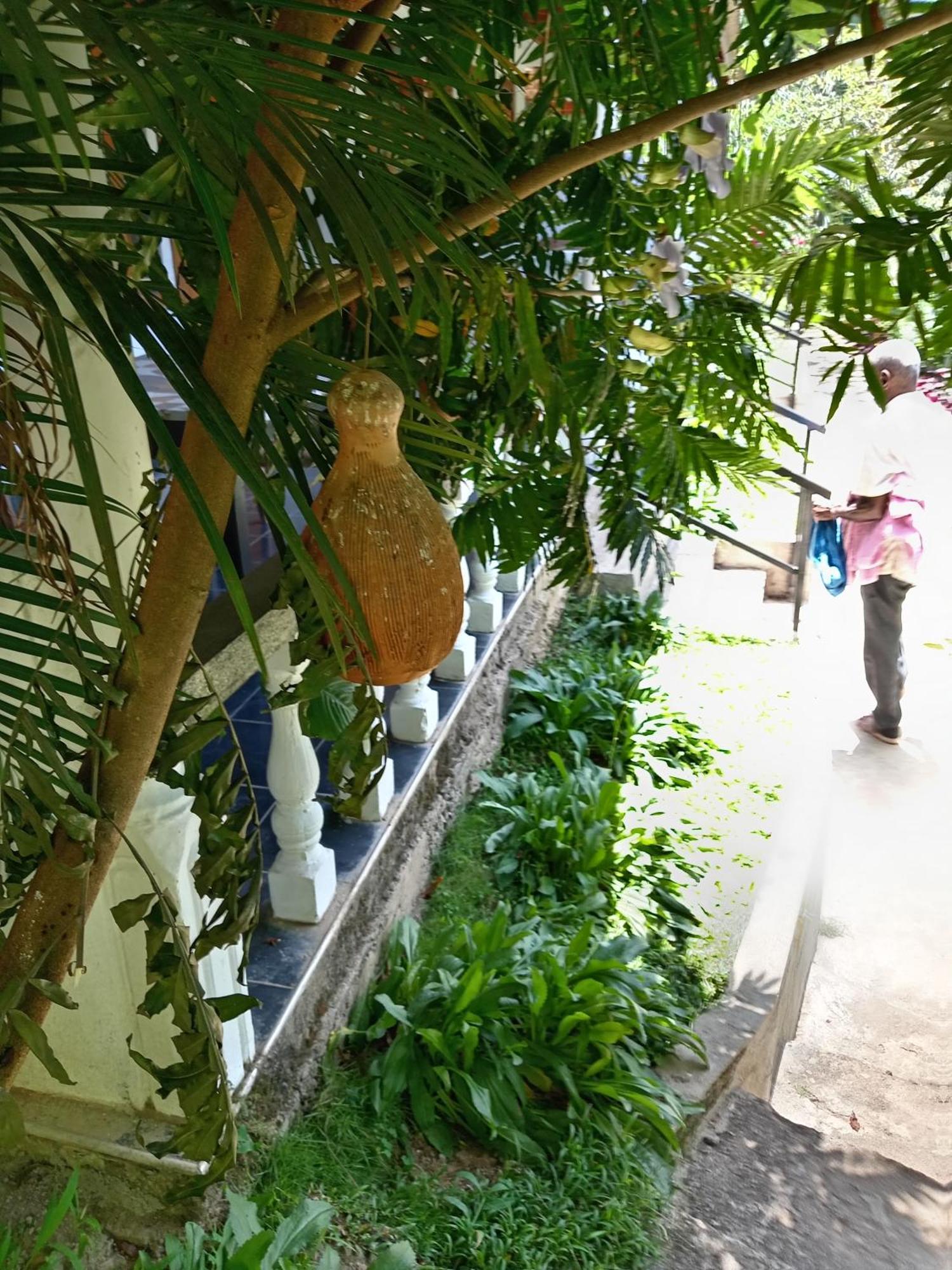 Soorya Inn Ella Kültér fotó